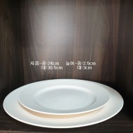 원형접시-19